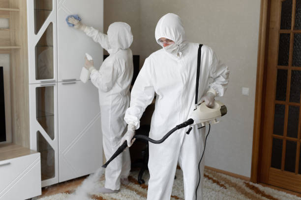 Professional Mold Remediation in China, TX
